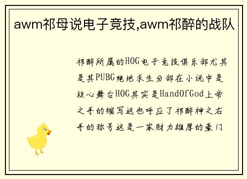 awm祁母说电子竞技,awm祁醉的战队