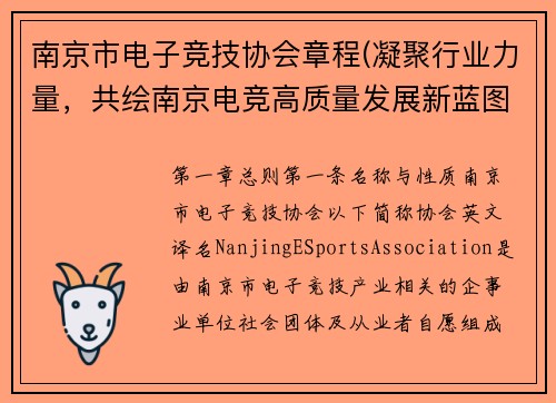 南京市电子竞技协会章程(凝聚行业力量，共绘南京电竞高质量发展新蓝图)